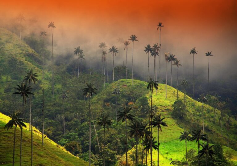 FOTO DE PORTADA scaled 1