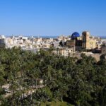 4. Palmeral de Elche scaled 1