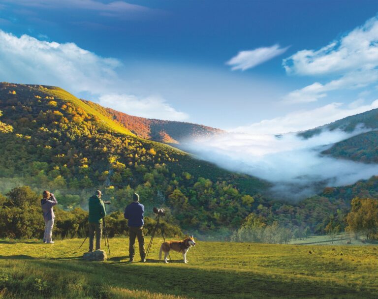 YDRAY Avistamiento de fauna en el la Reserva de Biosfera de Fuentes del Narcea Degana e Ibias Amar Hernandez y Arrontes Barrera scaled 1