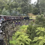 4. Puffing Billy 150x150 1