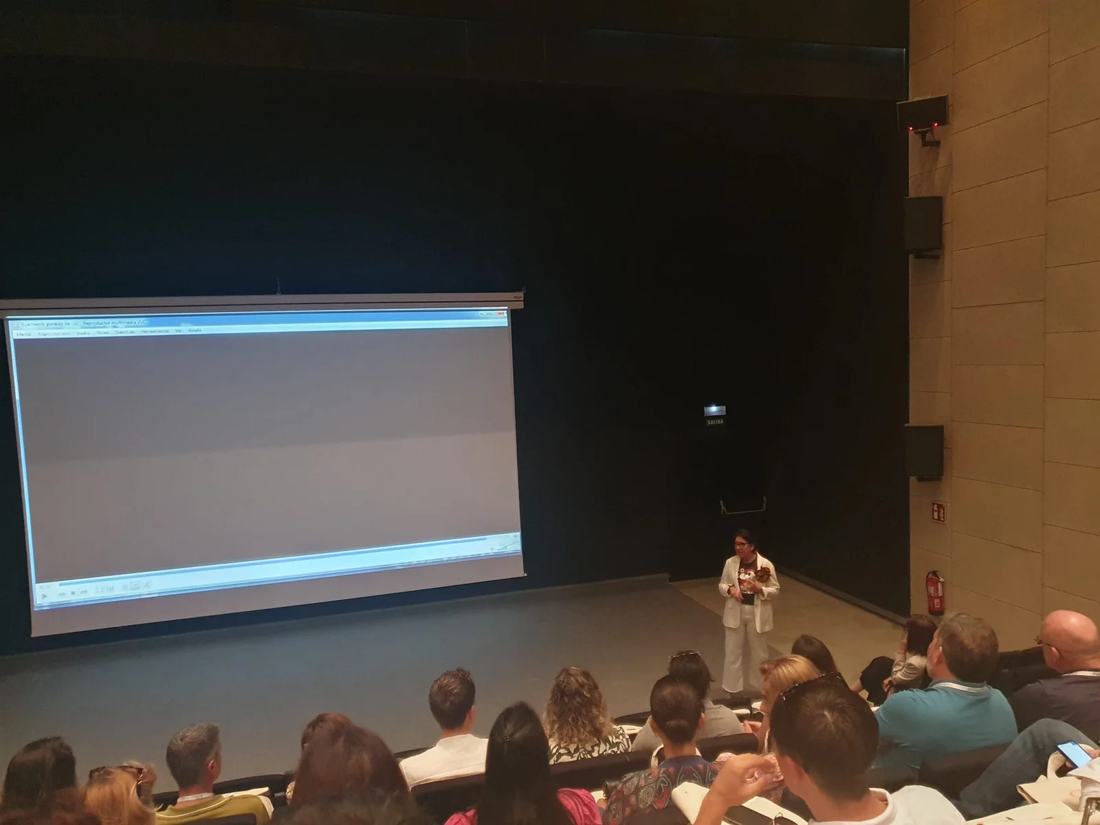 Descripción de la imagen