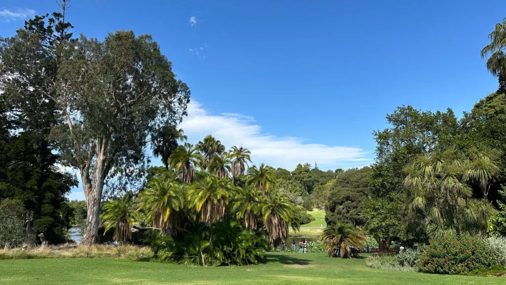 Descripción de la imagen