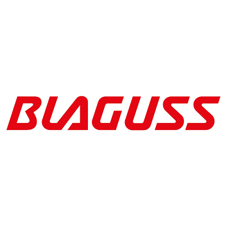LOGO BLAGUSS