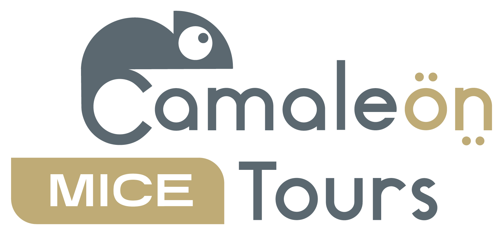 Logo Camaleon Tours