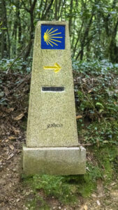 CAMINO DE SANTIAGO scaled e1754495399984