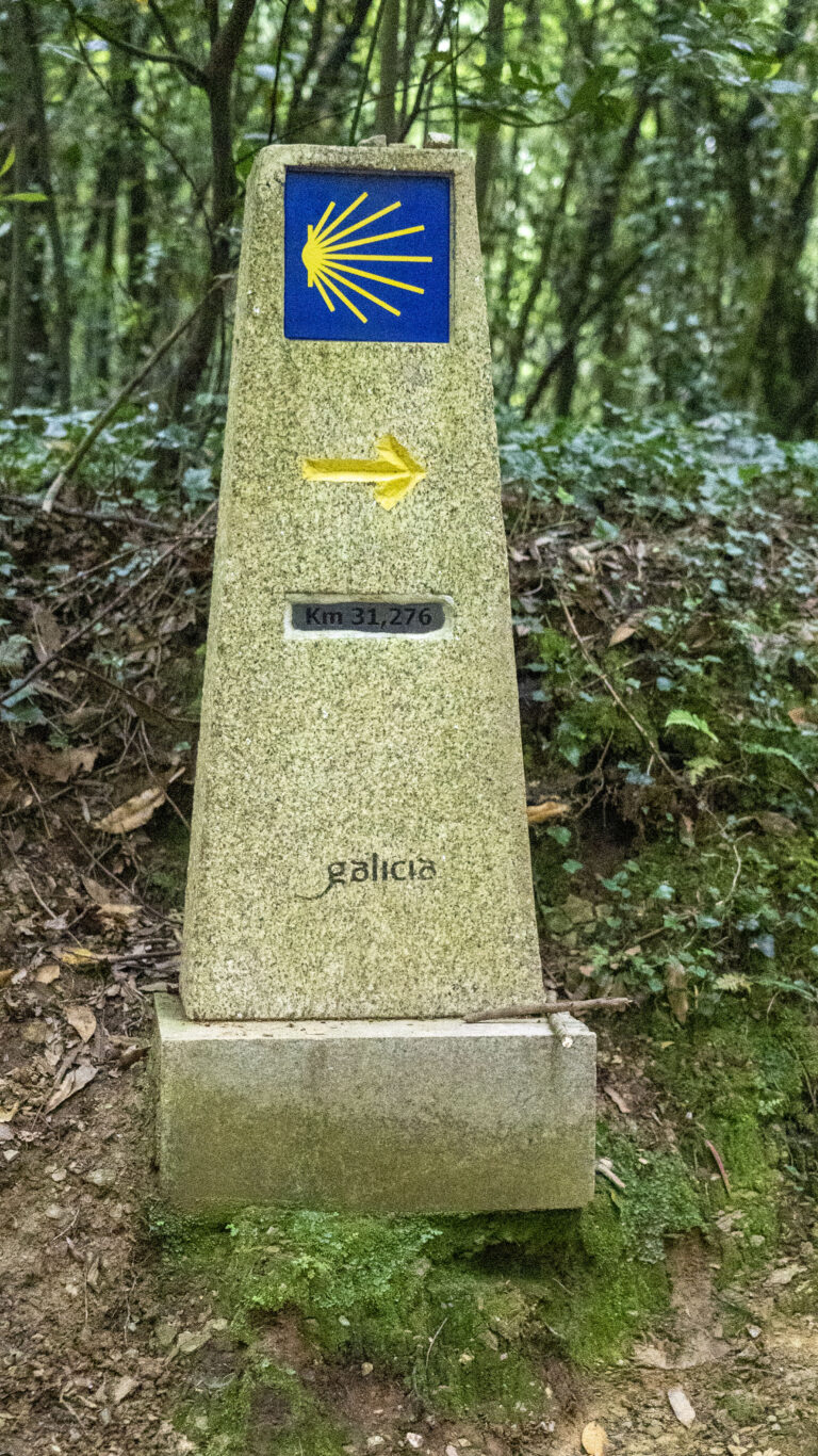 CAMINO DE SANTIAGO scaled e1754495399984