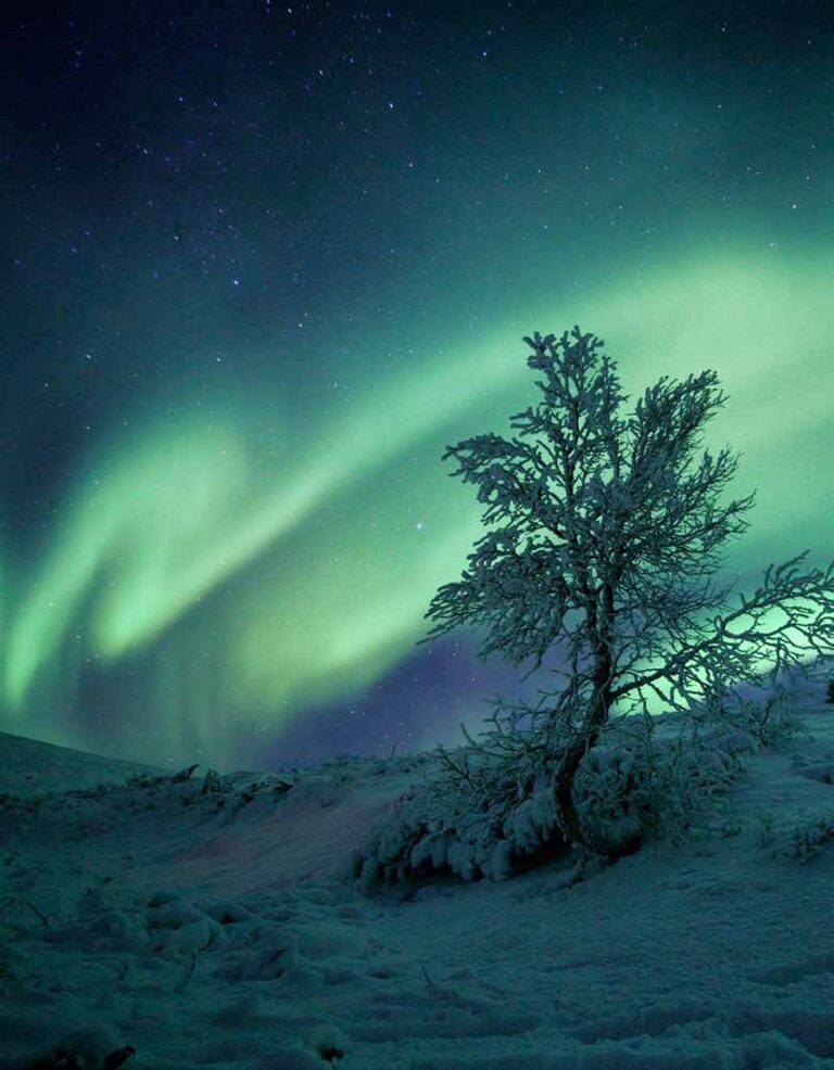 HELSINKI: FELIZ POR NATURALEZA
