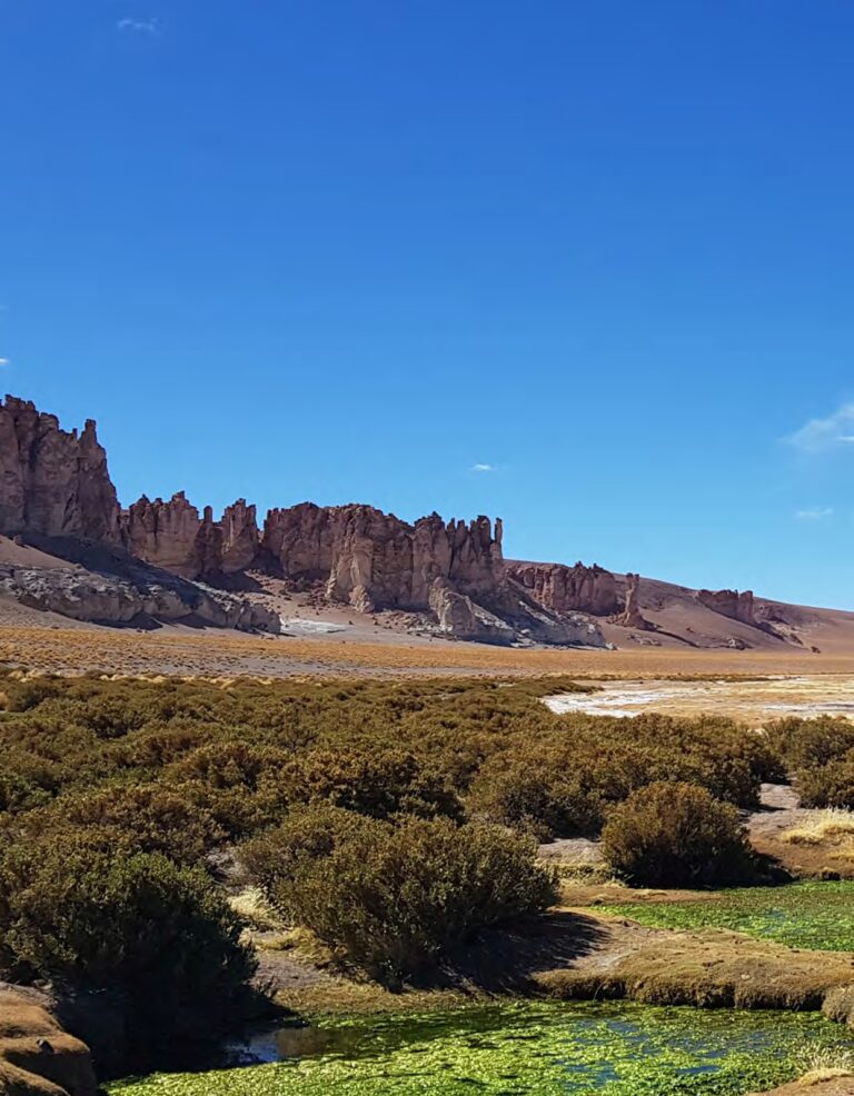 DESIERTO DE ATACAMA (CHILE): PASEOS POR DESTINO CIELO Y TIERRA