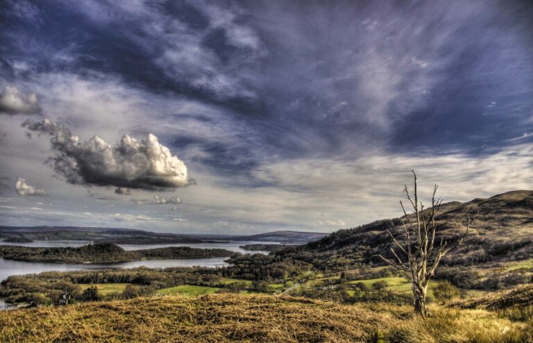 ESCOCIA: GRIS BRILLANTE