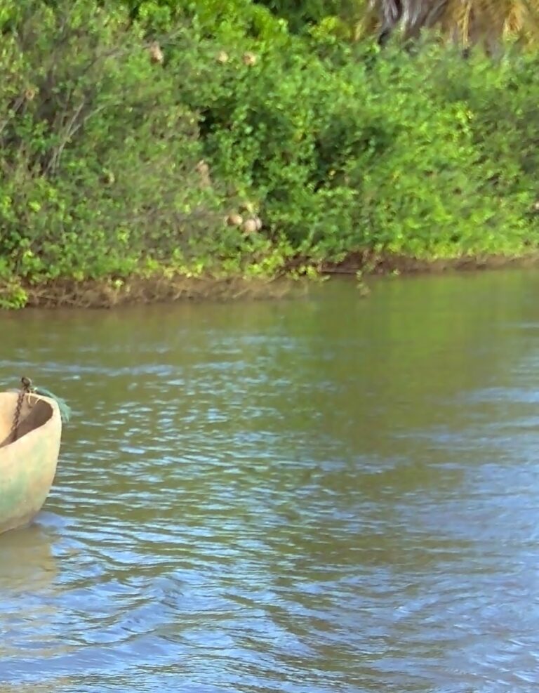 BANJUL: SONRISAS DE ÁFRICA