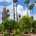 10. PURO INCENTIVO p2 7 150x150