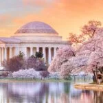 2.WashingtonDC ®adobestock 1 scaled 1 150x150