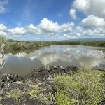 4. Complejo de Humedales en isla Isabela 1 150x150 1