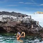 5. @Pikaia Lodge 1 150x150 1