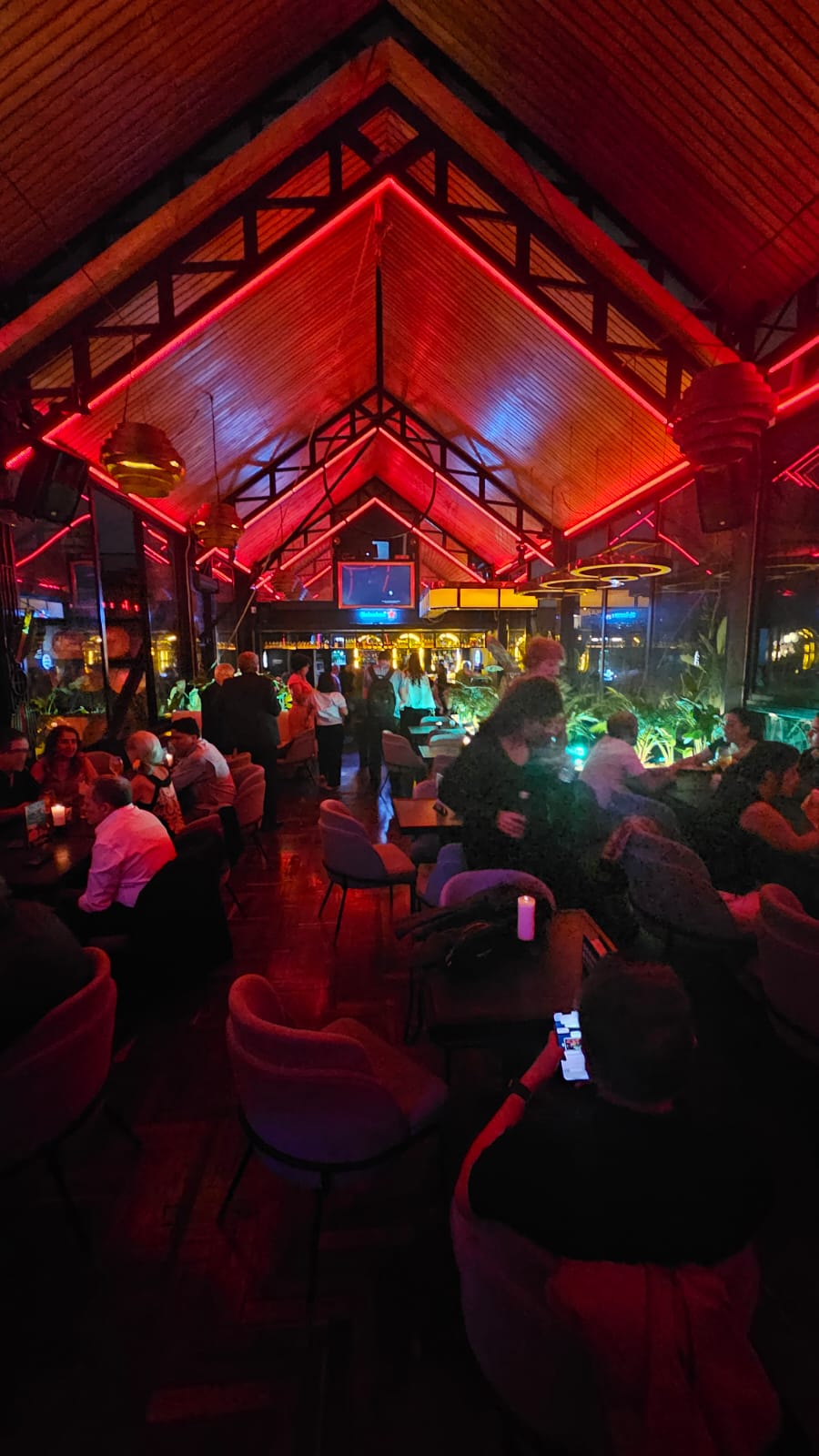 Descripción de la imagen