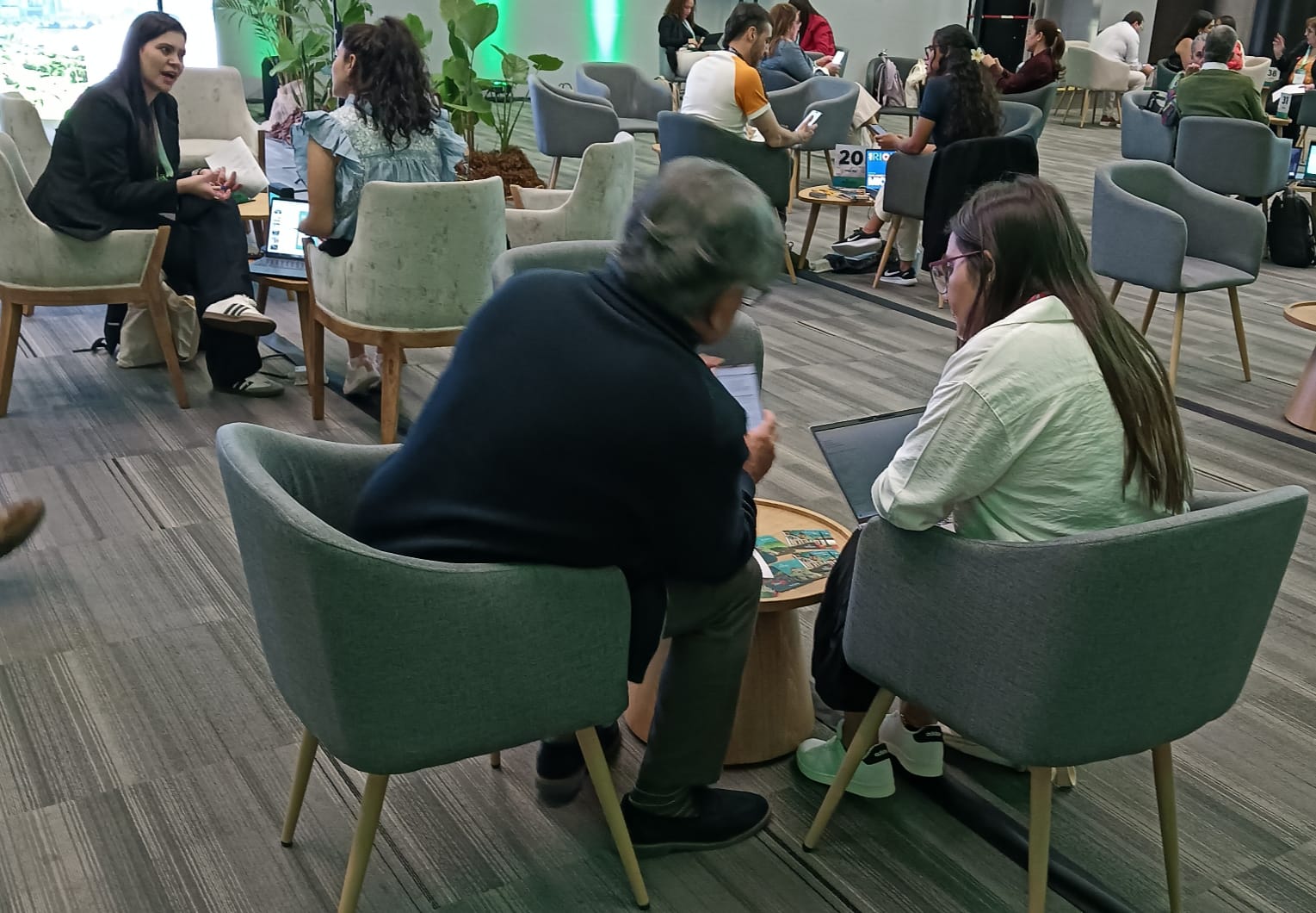 Descripción de la imagen