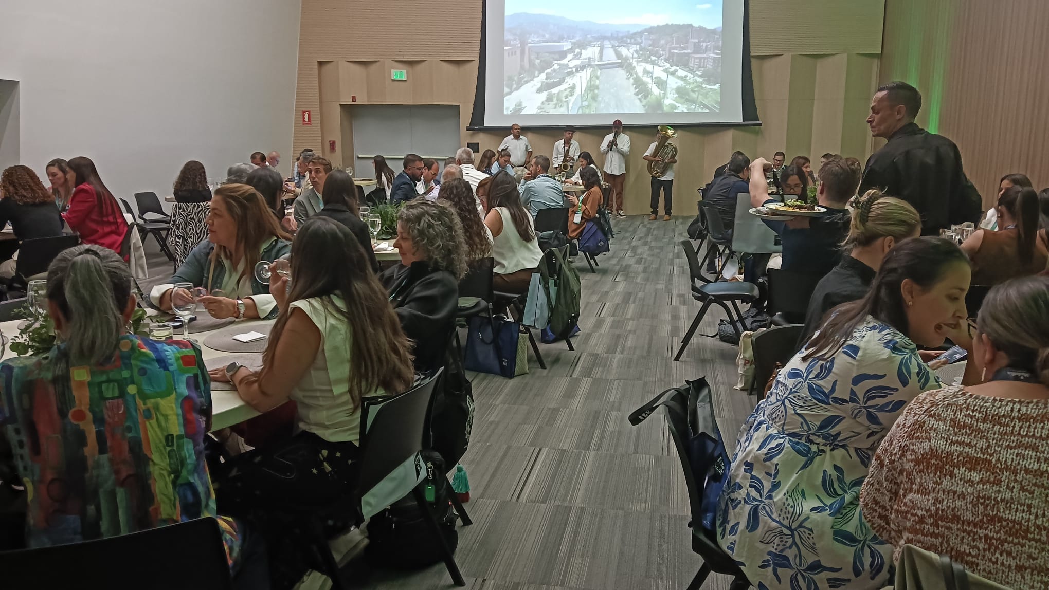 Descripción de la imagen