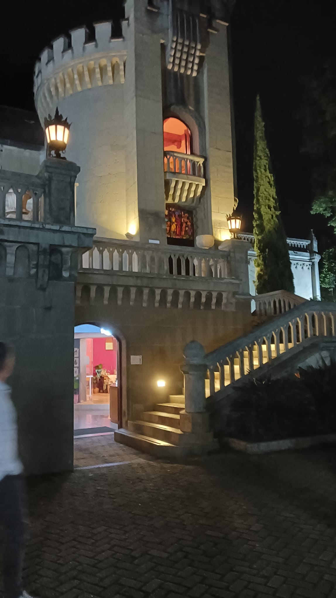 Descripción de la imagen