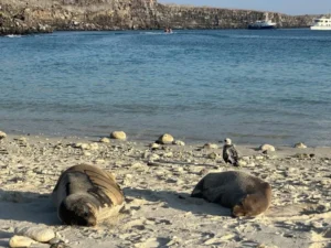 FOTO DE APERTURA 1 696x522 1