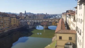 Florencia31 despiece