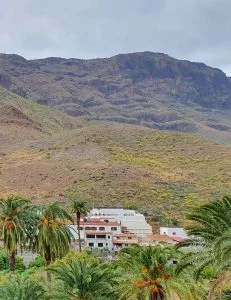 Gran Canaria rural 231x300