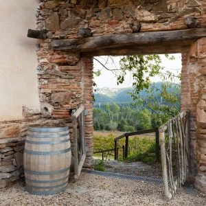 Masia solidaria 300x300 1