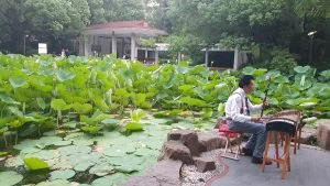 Musica ancestral 300x169 1