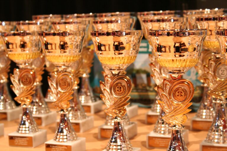PREMIOS: ¿RECONOCIMIENTO O NEGOCIO?