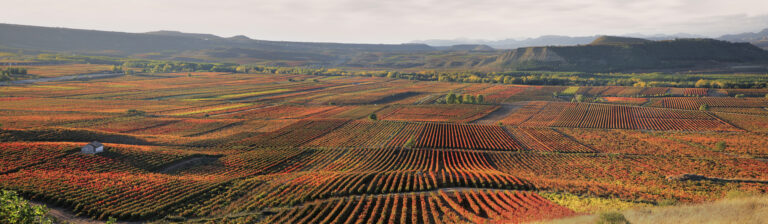 LA RIOJA: UN LUGAR PARA SENTIR